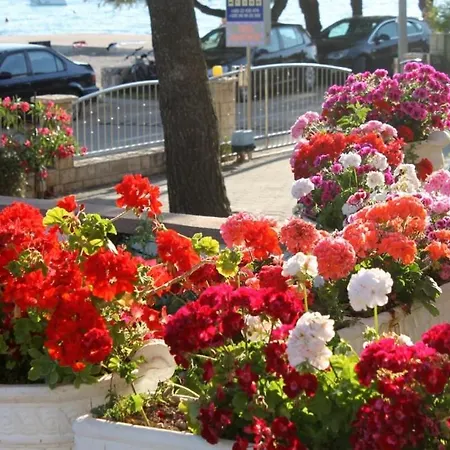 Apartment Holiday Apartment In Vodice With Sea View, Terrace, Air Conditioning, Wifi 145-5 Vodice